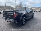 Thumbnail Photo 6 for 2014 Ford F150